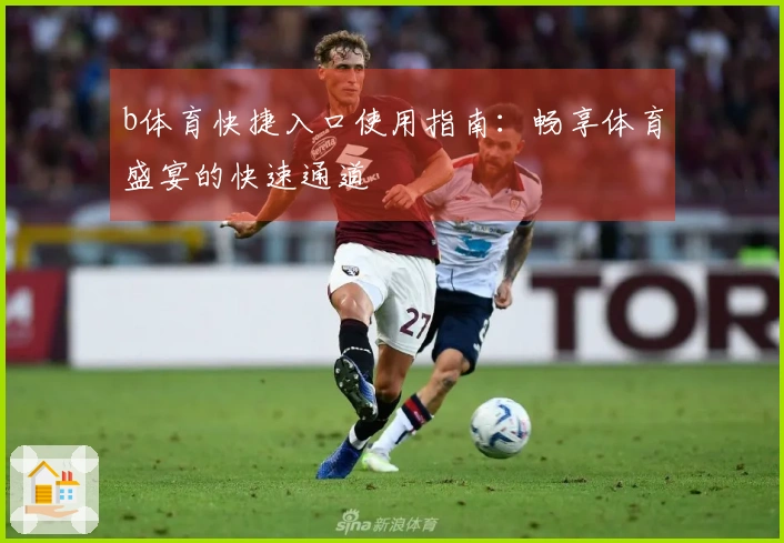 b体育快捷入口使用指南：畅享体育盛宴的快速通道