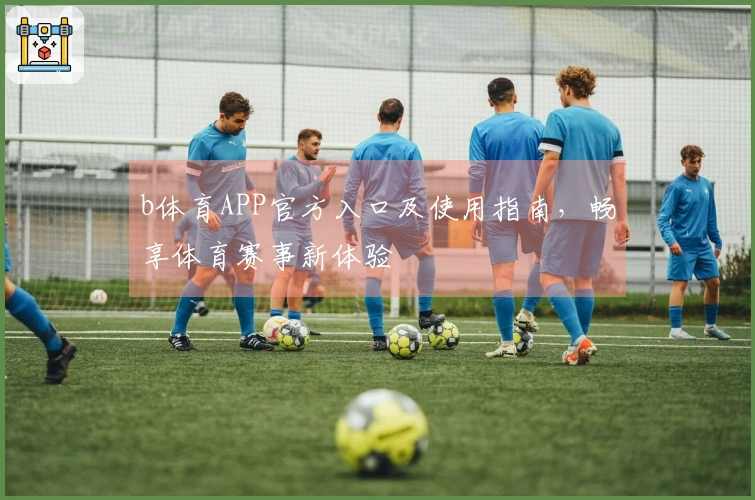 b体育APP官方入口及使用指南，畅享体育赛事新体验