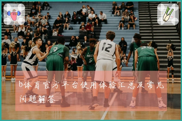 b体育官方平台使用体验汇总及常见问题解答