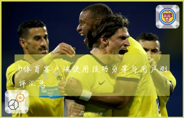 b体育客户端使用技巧分享与用户测评汇总