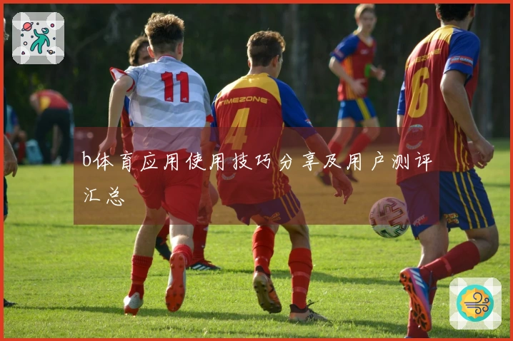 b体育应用使用技巧分享及用户测评汇总