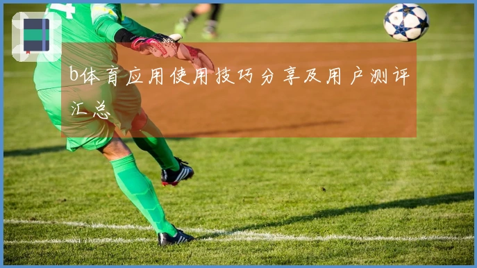 b体育应用使用技巧分享及用户测评汇总