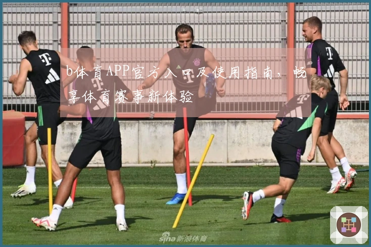 b体育APP官方入口及使用指南，畅享体育赛事新体验