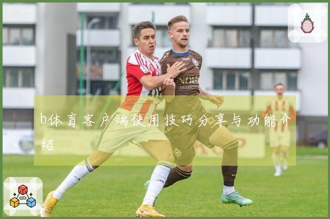 b体育客户端使用技巧分享与功能介绍